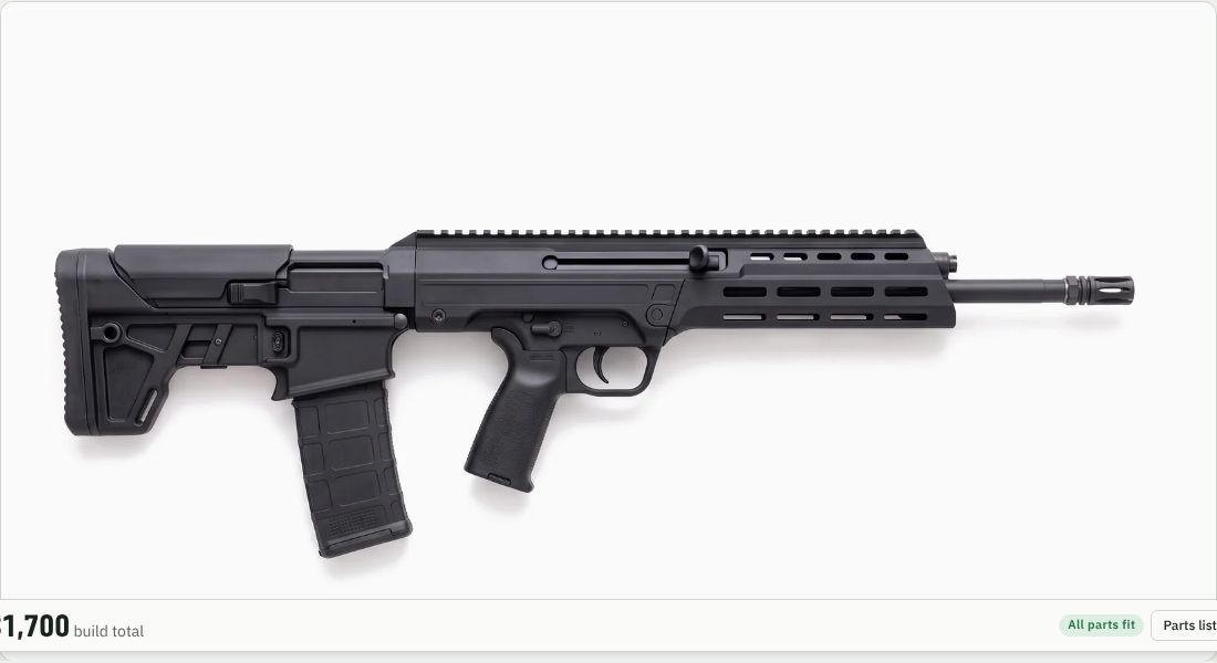 Springfield Armory Hellion (16 in) on a Bullpup