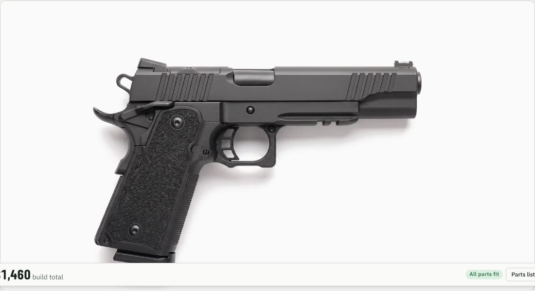 Springfield Armory 1911 DS Prodigy AOS 4.25" 9mm on a 2011