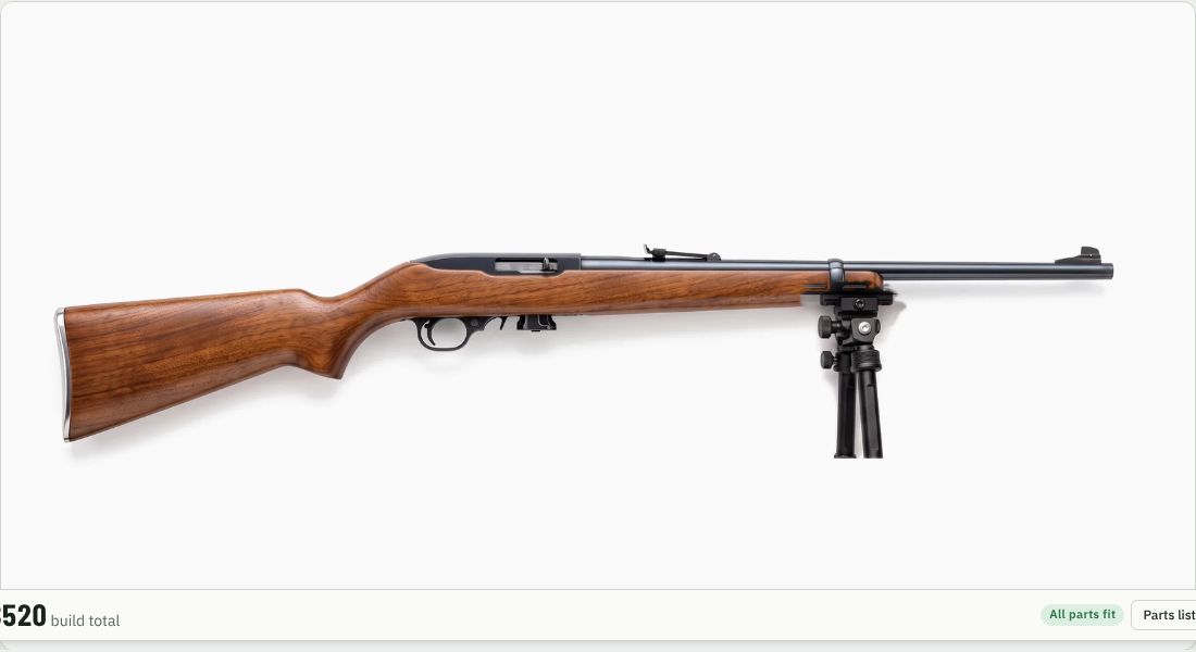 Atlas BT10 V8 Bipod on a 10/22