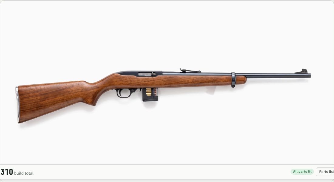 Ruger BX-1 10-Round Rotary on a 10/22