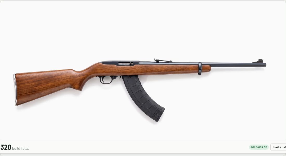 Ruger BX-25 on a 10/22