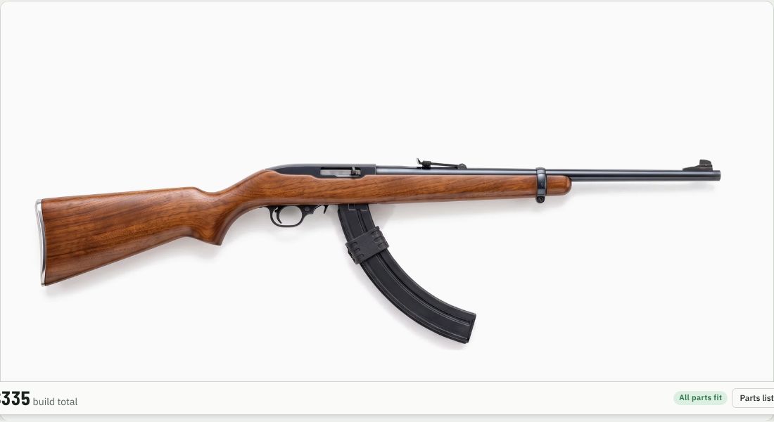 Ruger BX-25x2 on a 10/22