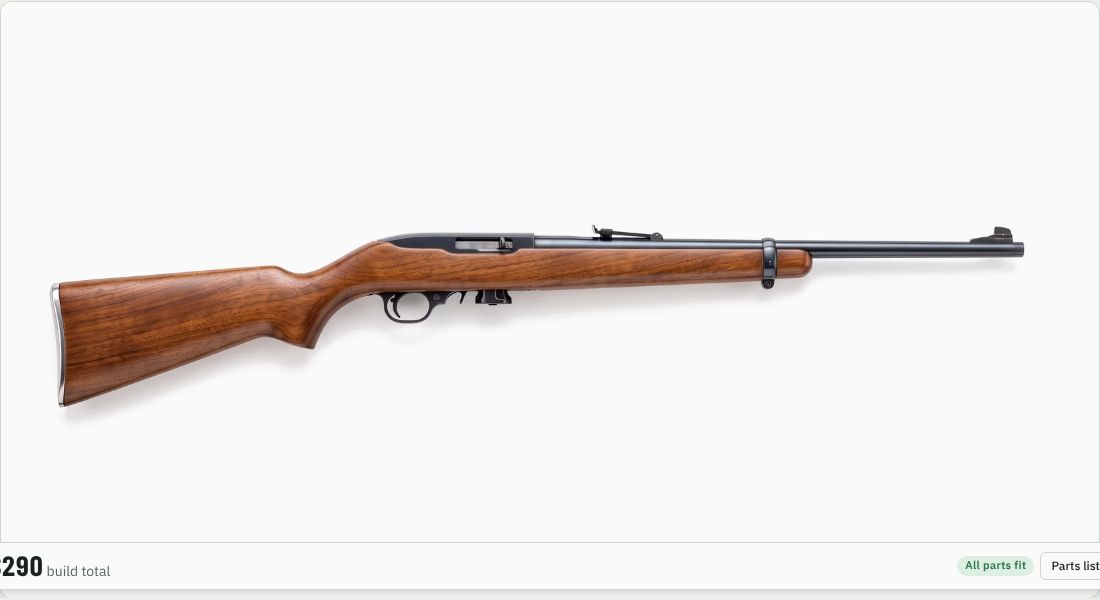 Ruger 10/22 Carbine (1103) on a 10/22