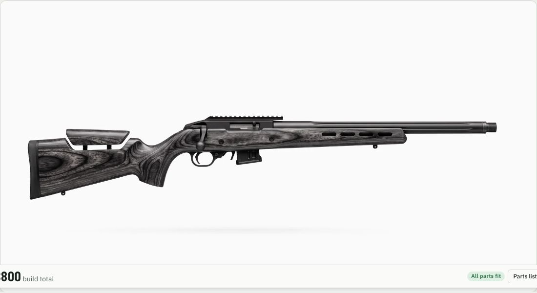 Ruger 10/22 Competition (31120) on a 10/22