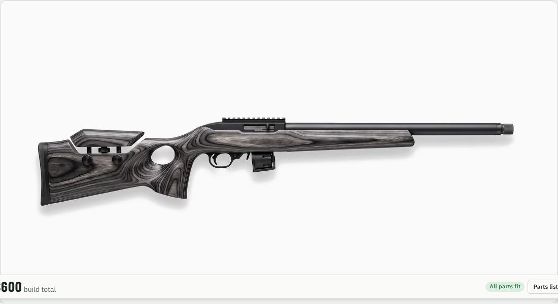 Ruger 10/22 Target Lite on a 10/22