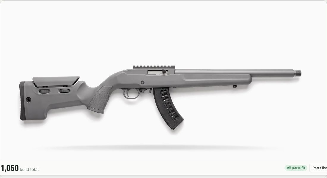 Tactical Solutions X-Ring Rifle on a 10/22