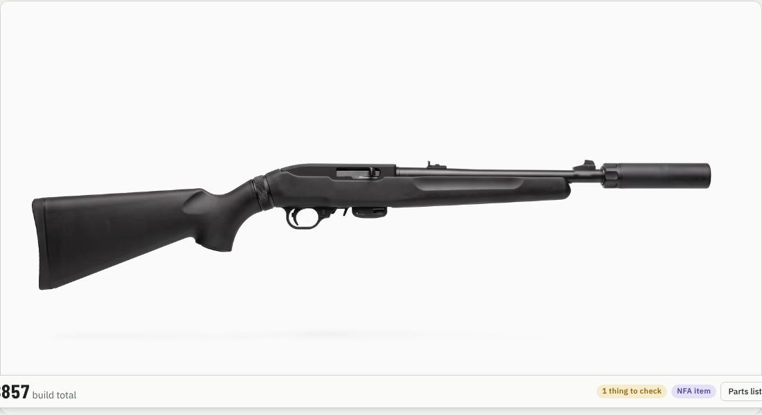 Dead Air Mask HD on a 10/22