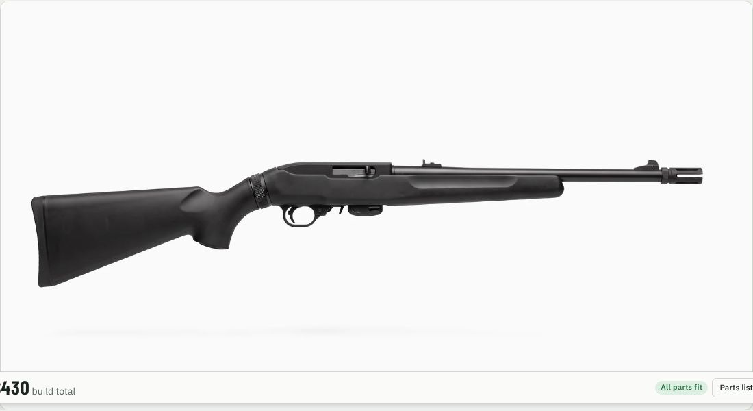 Ruger 10/22 Flash Suppressor on a 10/22
