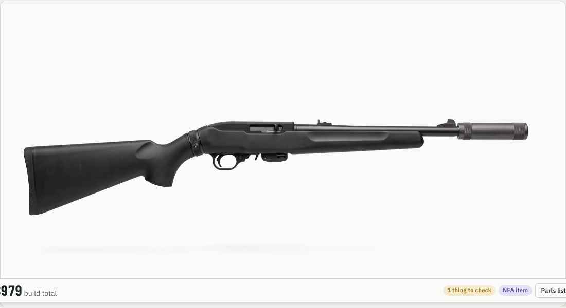 Silencer Central Banish 22 on a 10/22