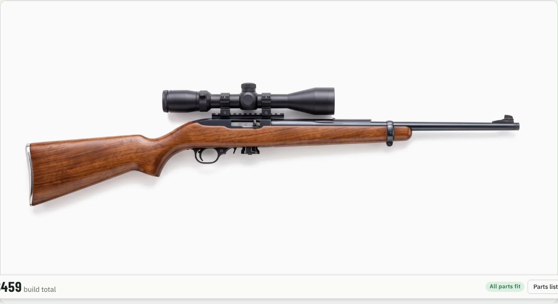 Athlon Neos 4-12x40 (22LR) on a 10/22