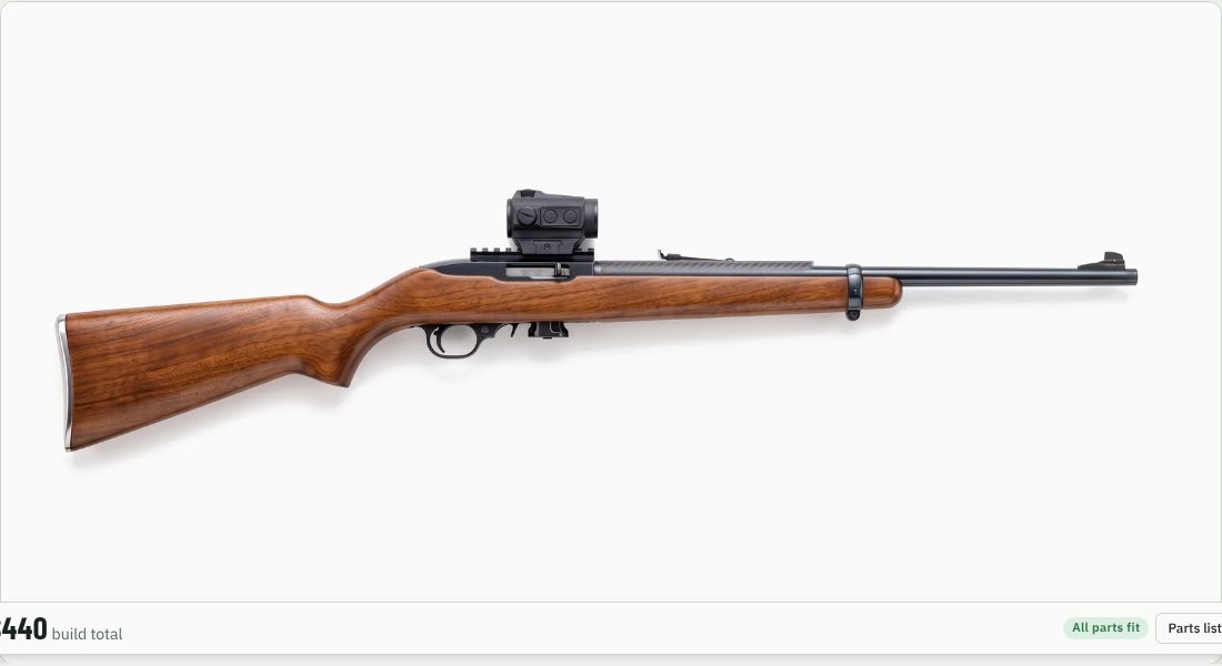 Holosun HS403B on a 10/22