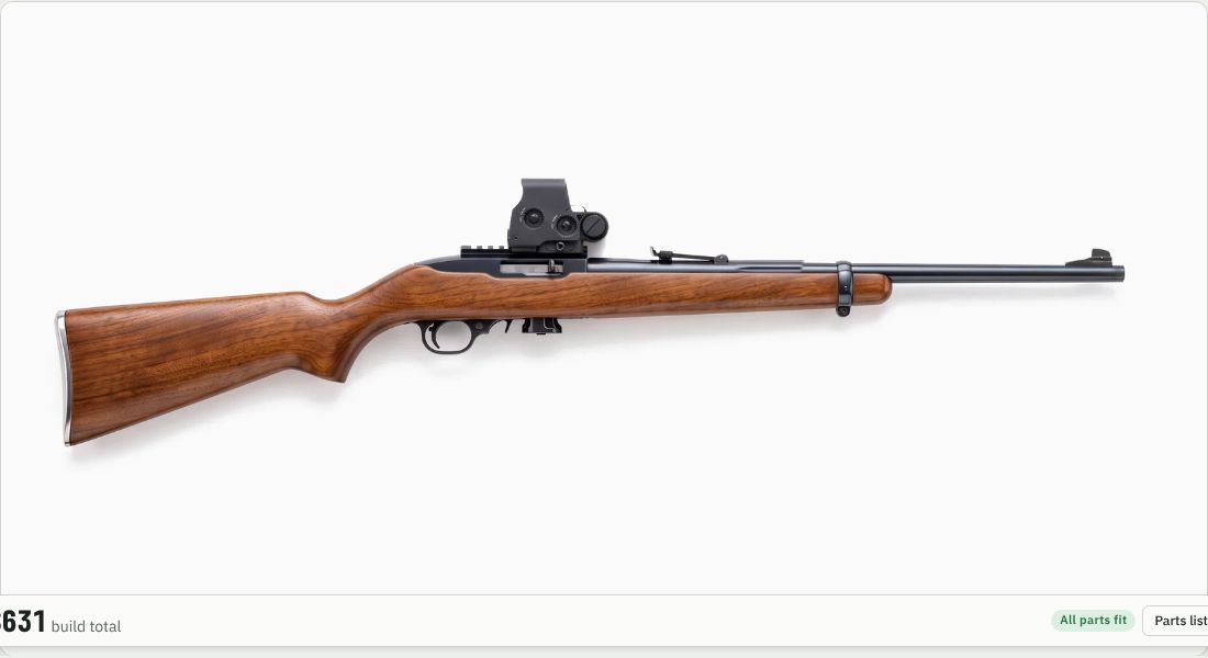 Holosun HE503CU-GR Elite on a 10/22