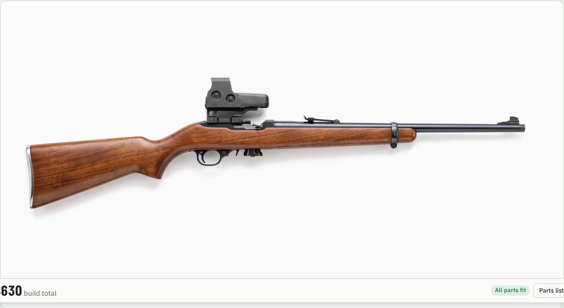 Holosun HE510C-GR Elite on a 10/22