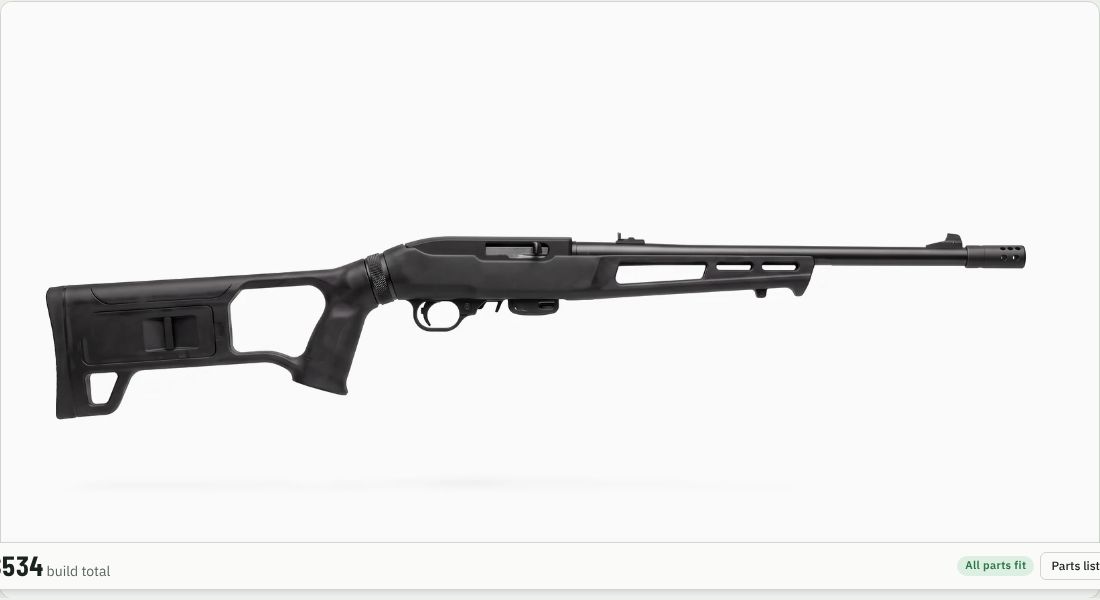 Magpul X-22 Backpacker Stock on a 10/22