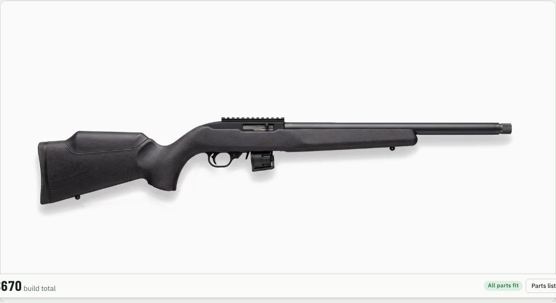 Hogue OverMolded Stock (.920 Bull Barrel) on a 10/22