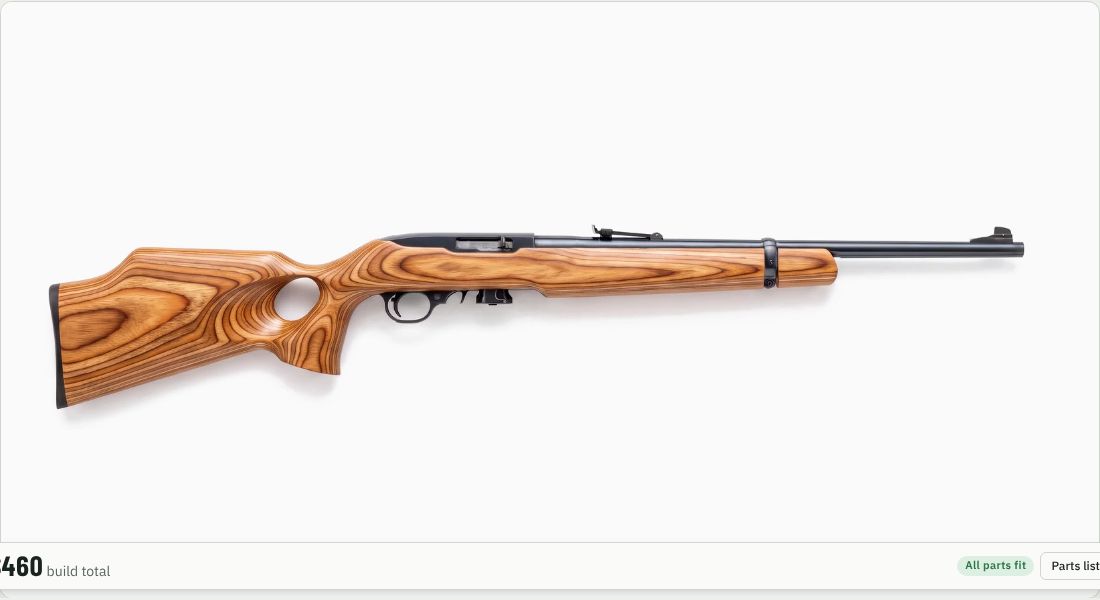 Boyds Rimfire Thumbhole Stock on a 10/22