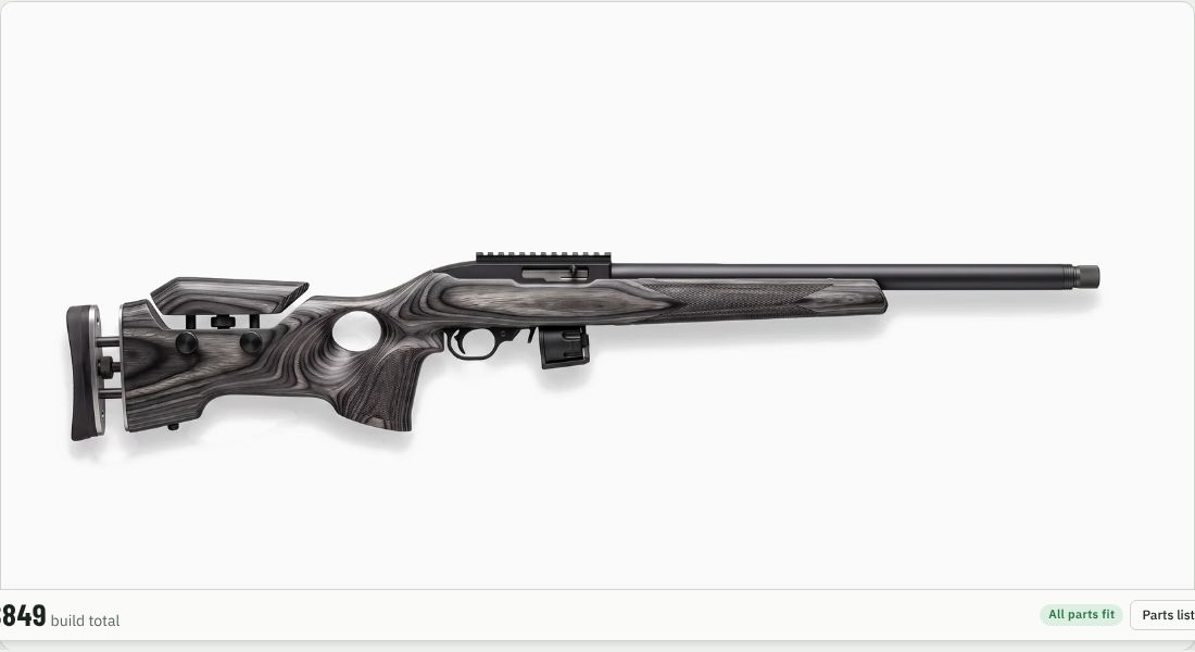 Boyds At-One Adjustable Stock on a 10/22